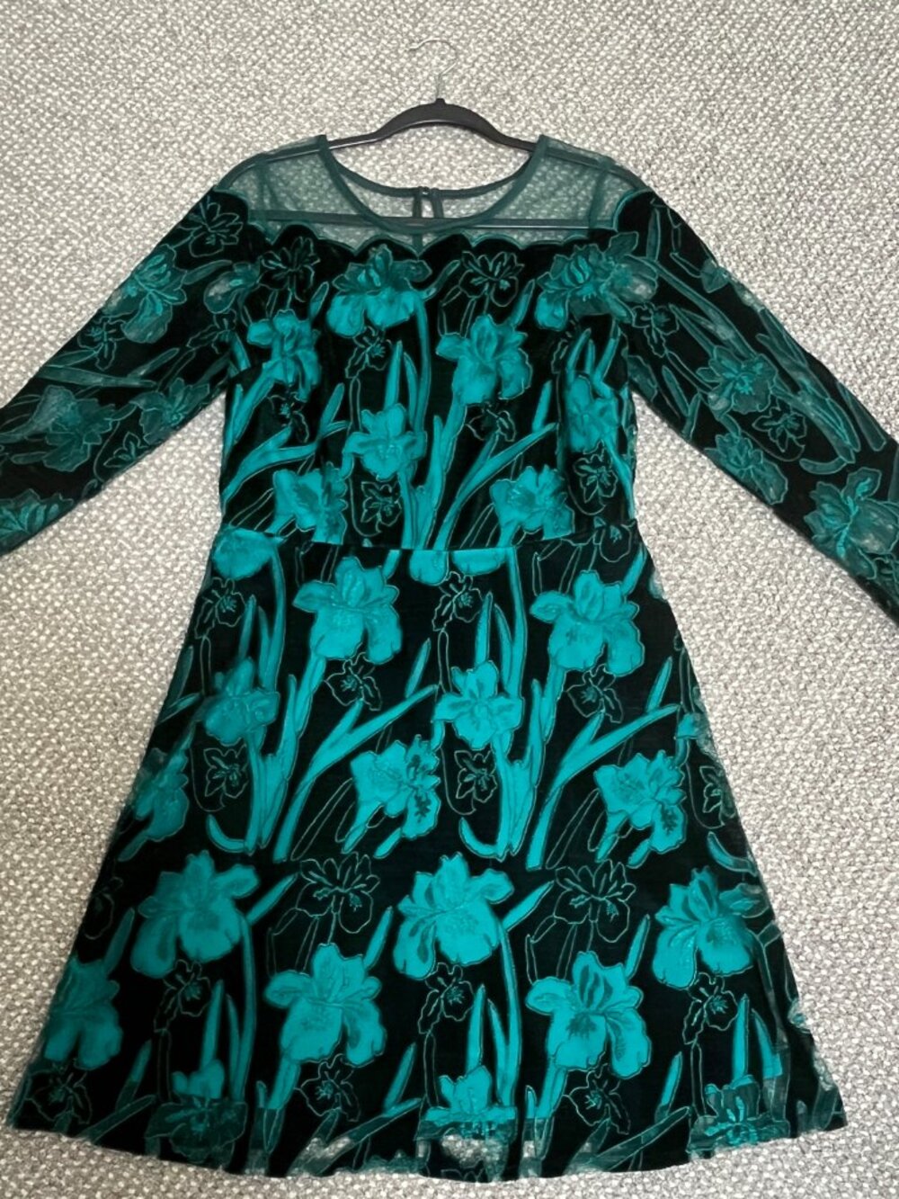 Eva Franco x Anthropologie Juliet Embroidered Velvet Mini Dress, Size 8 - Picture 7 of 9